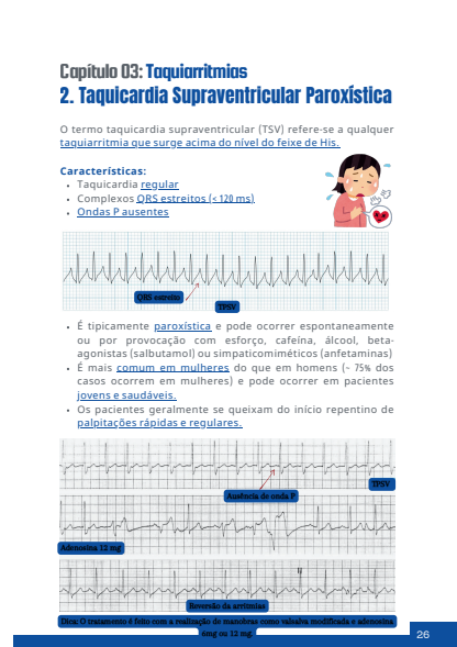 Captura de tela 2026-03-01 065542