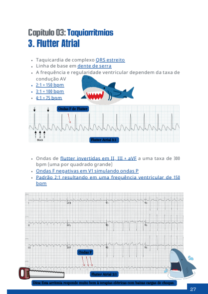 Captura de tela 2026-03-01 065548