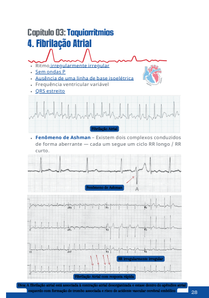 Captura de tela 2026-03-01 065555
